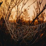 廣東省環境科學研究院 沈華烈